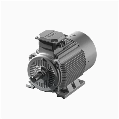 IE2 الیکٹرک موٹر